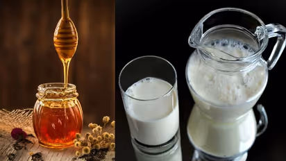 এক কাপ দুধ-মধু! নানা সমস্যার ফল পাবেন ম্যাজিকের মতো