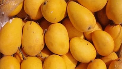 மக்களே உஷார்... உடல்நல கோளாறை ஏற்படுத்தும் மாழ்பழம்..!