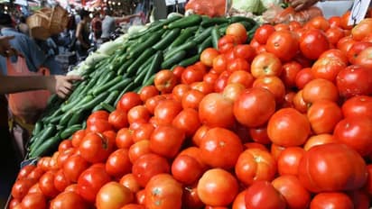 இனி ஓட்டலில் தக்காளி சட்னி கிடைக்குமா..? விலை உயர்வால் விவசாயிகள் மகிழ்ச்சி... இல்லத்தரசிகள் அதிர்ச்சி..!