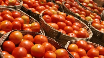 ഉള്ളിക്ക് പിന്നാലെ തക്കാളി വിലയും കുതിച്ച് കയറുന്നു; സാധാരണക്കാര് ആശങ്കയില്