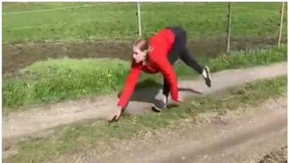 'ഓടും കുതിര, ചാടും കുതിര'; ഇന്സ്റ്റഗ്രാമില് താരമായി ഐലന് എന്ന 'കുതിരപ്പെണ്കുട്ടി'