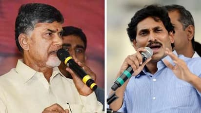 Election results 2019: YSRCP looks set to break TDP's record in Andhra Pradesh