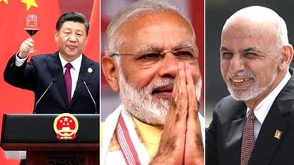 World leaders shower PM Narendra Modi with congratulatory messages as NDA heads towards victory