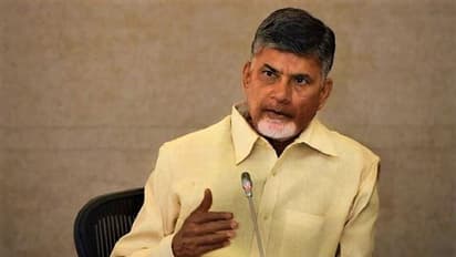 పంచాయితీ ఎన్నికల్లో బుద్ది చెప్తున్నా... వైసిపి నేతలకు సిగ్గేది: చంద్రబాబు సీరియస్