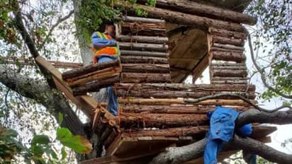 അത്യാധുനിക സൗകര്യങ്ങളുള്ള ഏറുമാടത്തിൽ സുഖവാസം; മോഷ്ടാവ് പിടിയിൽ