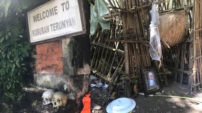 മരിച്ചവരെ മറവുചെയ്യാത്ത സെമിത്തേരികൾ കാണാൻ ബാലിയിലെ ഈ നിഗൂഢഗ്രാമത്തിലെത്തുന്നത് ആയിരക്കണക്കിന് വിനോദസഞ്ചാരികൾ