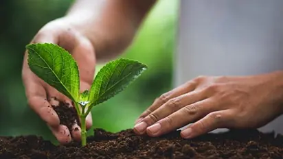 छत्तीसगढ़ में कचरे की खाद से 15 लाख कमाता है यह शख्स