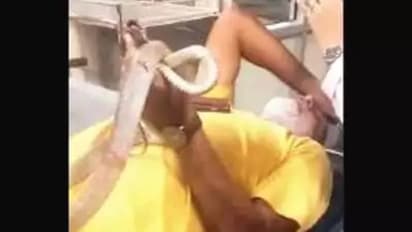 കടിച്ച പാമ്പിനെയും കയ്യിലെടുത്ത് ആശുപത്രിയിൽ എത്തിയ മധ്യവയസ്കന്റെ വീഡിയോ വൈറലാകുന്നു