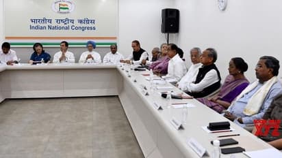 ಕಾಂಗ್ರೆಸ್ ಅಧ್ಯಕ್ಷ ರೇಸ್ನಲ್ಲಿ ರಾಜಮನೆತನದ ನಾಯಕರು!