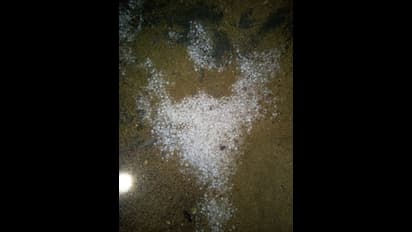 கிருஷ்ணகிரி பகுதியில் வெளுத்து வாங்கிய ஆலங்கட்டி மழை…. கொண்டாடிய சிறுவர்கள் !!