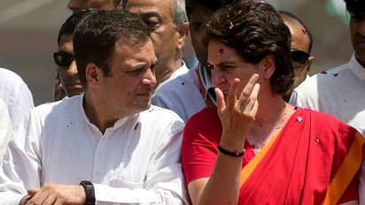 ராகுலுக்கு பதில் புதிய தலைவர் யார்..? பிரியங்காவை தலைவராக்க முயற்சி!