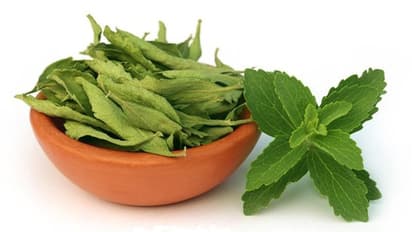 সুস্থ থাকতে চিনির বিকল্প হিসেবে বেছে নিন স্টেভিয়া, বাড়িতেই বপন করতে পারেন এই গাছ