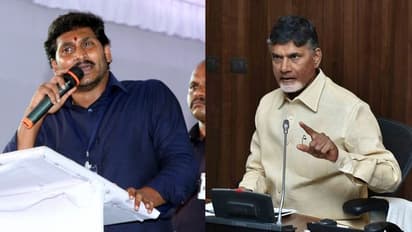 టీడీపీ దిగదుడుపు: వైఎస్ జగన్ ను చంద్రబాబు ఎదుర్కోగలరా?