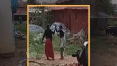 ಮಾವಿನ ಫಸಲಿಗಾಗಿ ಅತ್ತೆಯನ್ನೇ ಥಳಿಸಿದ ಘಾಟೀ ಸೊಸೆ!