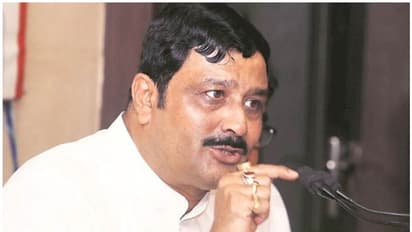 BJP leader Rahul Sinha claims people sitting at Shaheen Bagh are Bangladeshis, Pakistanis