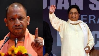 योगी करेंगे बहनजी की ख्वाहिश पूरी तो अखिलेश से पूरा होगा बदला