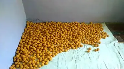 PM Modi’s swearing-in ceremony: ‘Team Modi’ prepares 20,000 ladoos