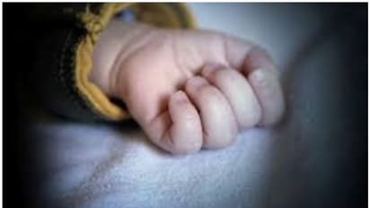 లారీ డ్రైవింగ్ నేర్చుకుంటూ... ఇద్దరి ప్రాణాలు తీశాడు..