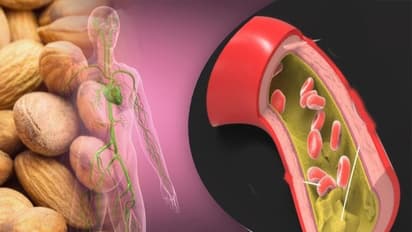 കൊളസ്ട്രോളിനെ നിയന്ത്രിക്കാന് കഴിക്കാം ഈ ഏഴ് ഭക്ഷണങ്ങള്