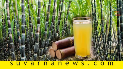 ಕಬ್ಬಿಗೆ ಆಗದಿರಲ್ಲಿ ಕಬ್ಬಿಣದ ಕೊರತೆ; ಈ ರೀತಿ ನಿಗವಹಿಸಿ!