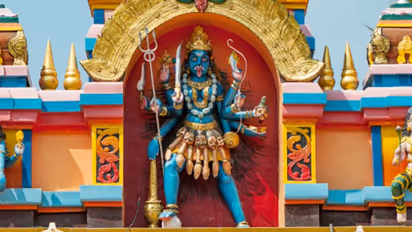 আজ ফলহারিণী কালী পুজো, জেনে নিন কোন কোন রাশির ওপর আজ মা কালীর কৃপা দৃষ্টি থাকবে