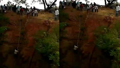 బావిలో పడి.. రెండు రోజులుగా ఆర్తనాదాలు, పాములతో పోరాటం (వీడియో)