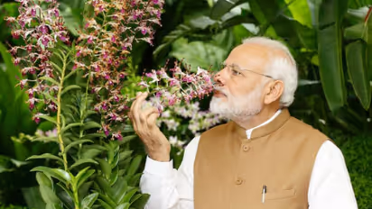 প্রধানমন্ত্রীর সঙ্গে নৈশভোজে যেতে চান 'ভারত'-এর নায়িকা