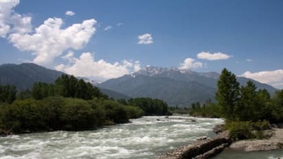 নিজের প্রাণ তুচ্ছ, জীবন দিয়ে বাংলা-সহ ভারতকে বার্তা দিলেন কাশ্মীরী যুবক