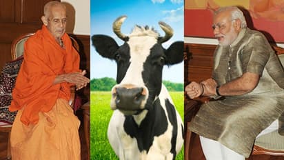 Karnataka: Pejawar seer urges PM Modi to bring cow-protection law; says those who kill cows are ‘demons’