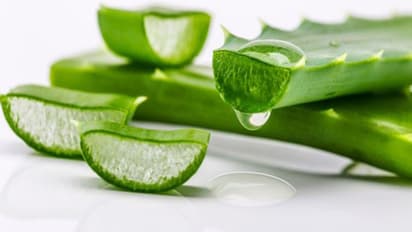 முடி உதிர்வு, பொடுகை கட்டுப்படுத்த உதவும் வீட்டு பொருட்கள்