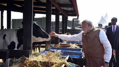 पीएम नरेन्द्र मोदी दे सकते हैं वाराणसी को जीत की सौगात, जानें क्या मिलेगा बाबा की नगरी को