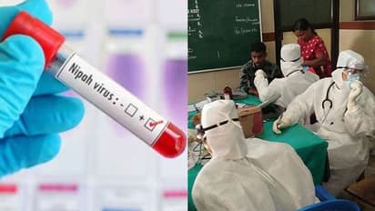 കേരളത്തിൽ വീണ്ടും നിപ? അറിയാം ലക്ഷണങ്ങള്‍ എന്ത്, എങ്ങനെ, ചികിത്സ