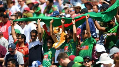 মাঠে ঐতিহাসিক জয়, গ্যালারিতে তখন ব্যাঘ্র-গর্জন! দেখুন ভিডিও`