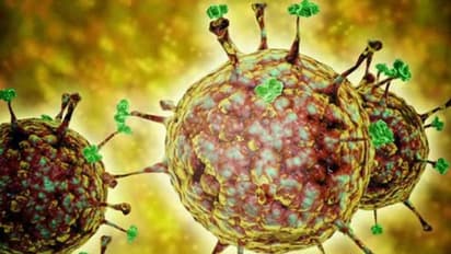 ഏതാണ് നിപയുടെ ആ ഉറവിടം? ആകാം അല്പം ജാഗ്രത