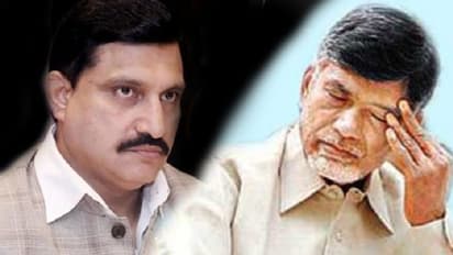 చంద్రబాబుకు బిజెపి ఎంపీ సుజనా చౌదరి అండ: జగన్ పై విమర్శ