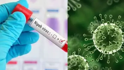 Nipah virus patient recovers, to be discharged from Kerala hospital on Tuesday after 47 days