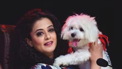 '56'ಕ್ಕೆ ಕಾಲಿಟ್ಟ ಪ್ರಿಯಾಮಣಿ!