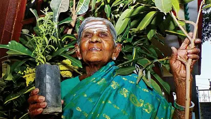 തിമ്മക്കയുടെ അഭ്യര്‍ത്ഥന മന്ത്രി കേട്ടു; ആ മരങ്ങള്‍ മുറിച്ചു മാറ്റില്ല... ആരാണ് ഈ അമ്മ?