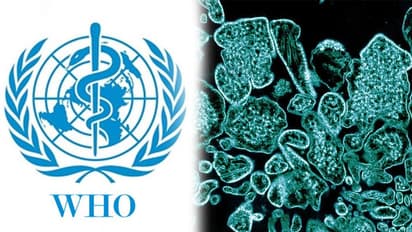 Nipah : जानिए क्या है यह जानलेवा वायरस!