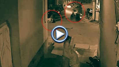 নিমতায় তৃণমূল নেতা খুন, সিসিটিভি-তে ধরা পড়ল শিউরে ওঠা ছবি