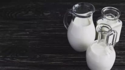 കുഞ്ഞുങ്ങൾക്ക് ആട്ടിൻ പാൽ നൽകാമോ; പഠനം പറയുന്നത്