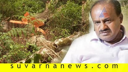 ಕೊಡಗಿನಲ್ಲಿ 890 ಮರ ಕಡಿತಕ್ಕೆ ಬ್ರೇಕ್: ಸುವರ್ಣ ನ್ಯೂಸ್ ಇಂಪ್ಯಾಕ್ಟ್