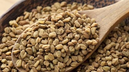 ಮೆಂತೆ, ಕಲೋಂಜಿ ಜೊತೆಯಾಗಿ ಸೇವಿಸಿದ್ರೆ  ಮಾರಕ ರೋಗಕ್ಕೂ ಮದ್ದಾಗುತ್ತಾ?