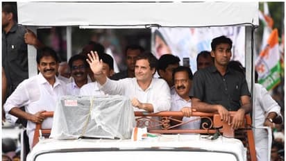 രാഹുല് ഗാന്ധിയുടെ സന്ദര്ശനം മൂന്നാം ദിവസവും തുടരുന്നു; ഇന്ന് തിരുവമ്പാടിയില്