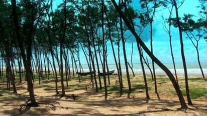 সপ্তাহের শেষে দুদিনের ট্রিপ, জেনে রাখুন বিচিত্রপুরের বিচিত্র কথা