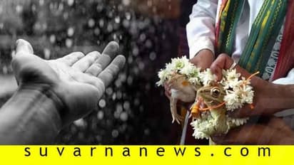 ಉಡುಪಿಯಲ್ಲಿ ಮಳೆಗಾಗಿ ಕಪ್ಪೆಗಳಿಗೆ ಮದುವೆ