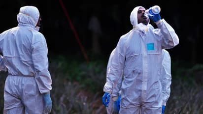 ഇനിയും തലപൊക്കാന്‍ അനുവദിക്കാതെ...  നിപയുടെ ഉറവിടം തേടി...