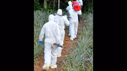 നിപയെ വീണ്ടും തോല്പ്പിച്ചത് ഇങ്ങനെ; " നമ്മുടെ എല്ലാ രാത്രികളിലെയും കാവൽക്കാർ "