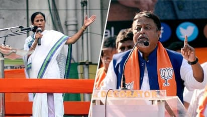 একুশে জুলাইয়ের ভিড় দেখে হতাশ মমতা, খোঁচা দিয়ে মন্তব্য মুকুলের