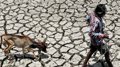 26 மாவட்டங்களில் நிலத்தடி நீர்மட்டம் கடும் சரிவு... ஆய்வில் அதிர்ச்சி தகவல்..!